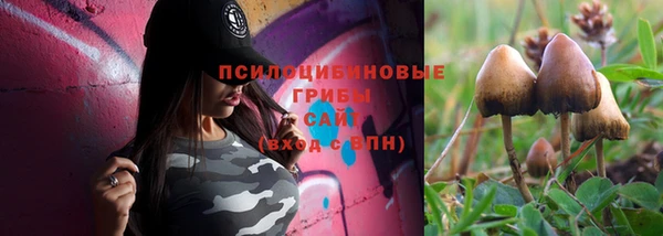твердый Сясьстрой