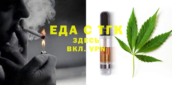 твердый Сясьстрой