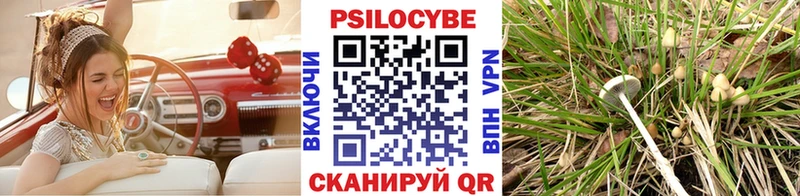 omg   Морозовск  Галлюциногенные грибы мухоморы 